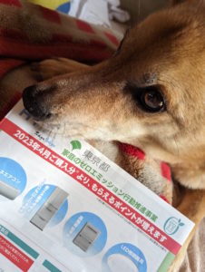 ゼロエミポイント